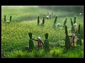 137 - women of the reedds 1(ipc4) - LE CHAU DAO - vietnam